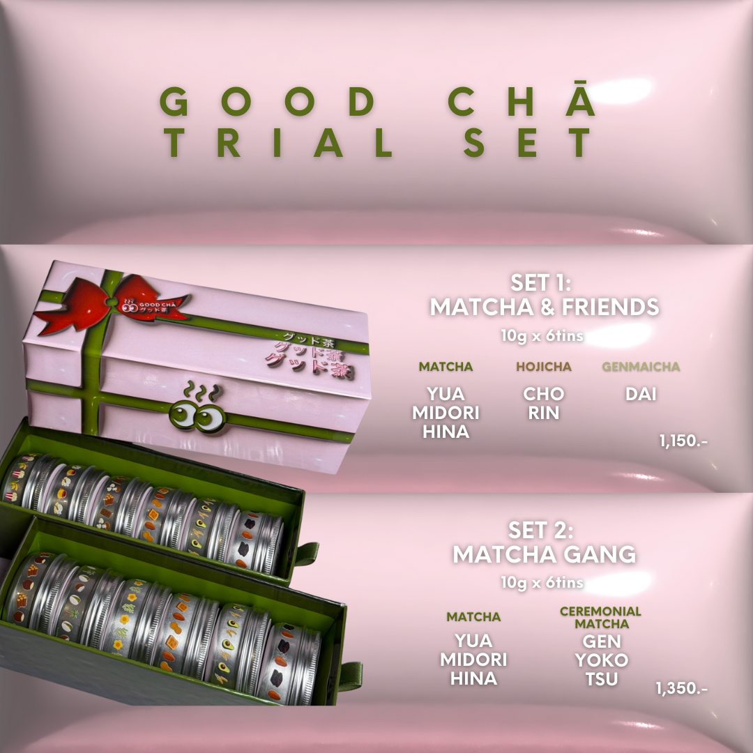 EXCLUSIVE MATCHA TRIAL SET 10g x6tins