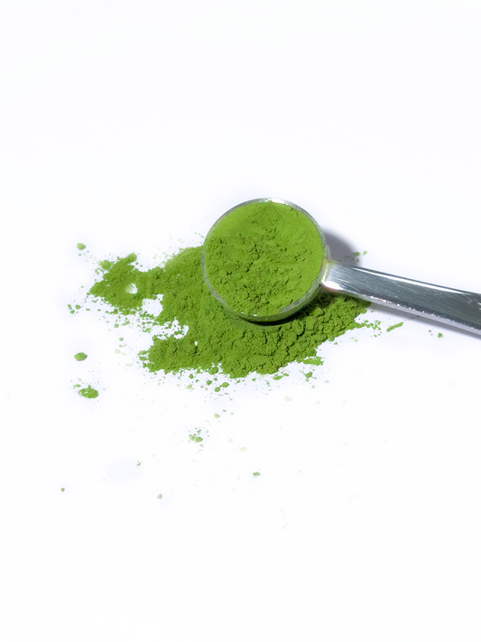 Tips & Tricks to Best Store Matcha